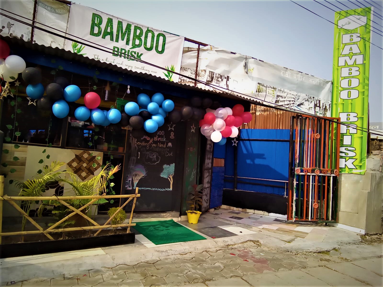 Bamboo Brisk